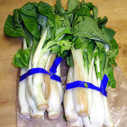 Open The Bok Choy (24k)