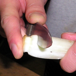 Cut The Ends If Not A White Color (22k)