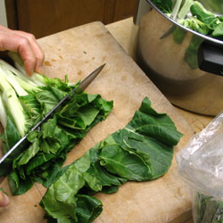 Cut Several Pieces Of Bok Choy Together On The Chopping Board And Then Place In The Big Bowl (21k)