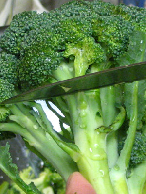 Cut The Broccoli By Separating The Heads From The Stems (41k)