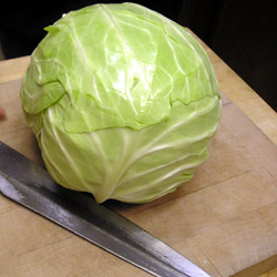 cabbage1.jpg