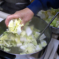 Steam The Chinese Cabbage (21k)