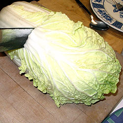 Chop The Chinese Cabbage In Half (24k)