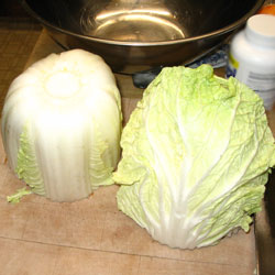 Chinese Cabbage In Half (17k)