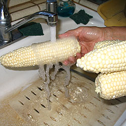 Rinse The Corn On The Cob (24k)