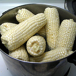 Steam The Corn (26k)