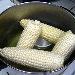 Steam The Corn 2 (23k)