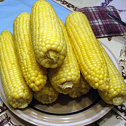 Remove The Corn On The Cob And Enjoy (32k)