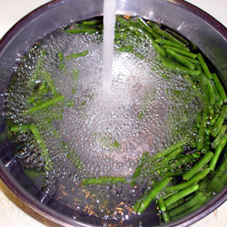 Fill Bowl With Water and Clean (28k)
