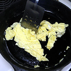 The Eggs Can Be Separated (23k)