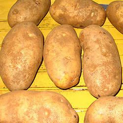 Prepare To Rinse The Potatoes (27k)