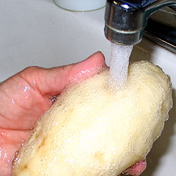 Rinse The Skinless Potatoe Again (17k)